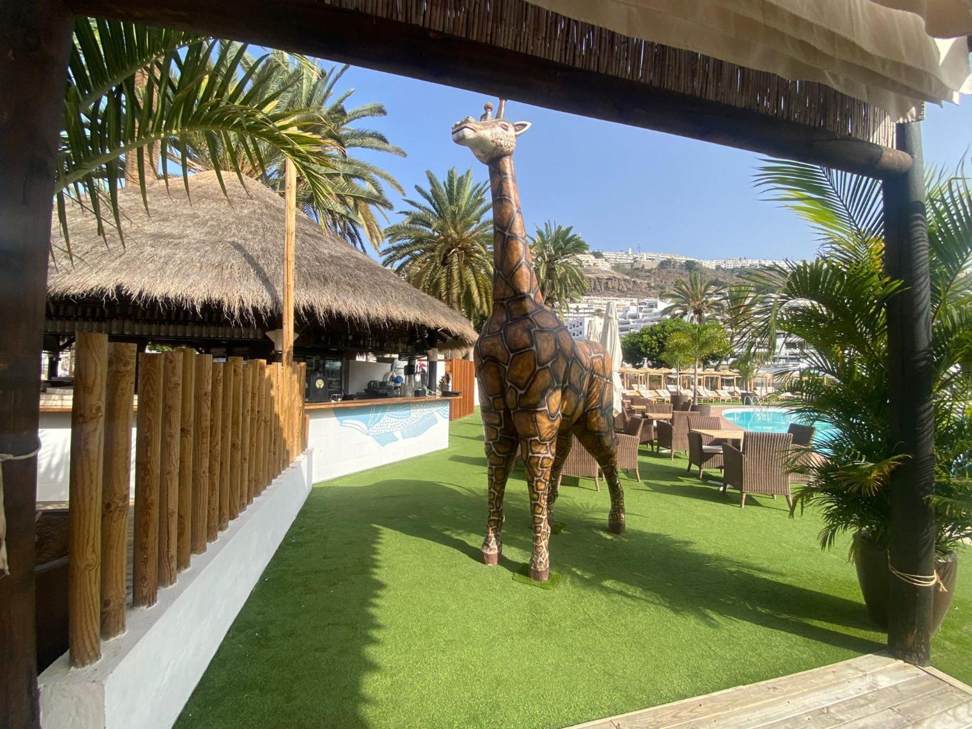 Apartamento Cozy Modern House, In A Complex With A Swimming Pool Puerto Rico  Exterior foto